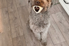 Look at me!
